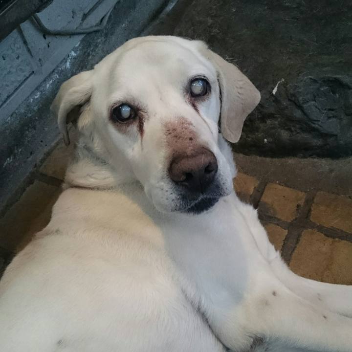 409b8a21 0767 458b a681 b52017e7452f