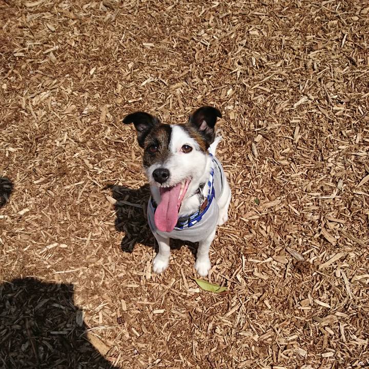 409bbb05 d947 466e a7a0 be9b6f2af41b