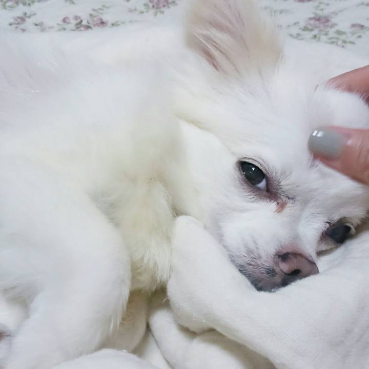 409bde85 bd7f 4b71 bb43 e540ab0ed6df