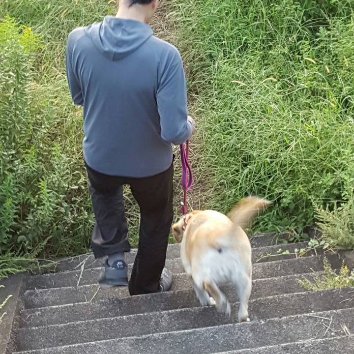 409cebfc f078 4079 876c ff4551e86796