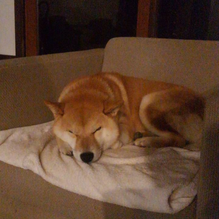 409d8ee1 8f02 40a2 85ef 39f9b2b6f6e9