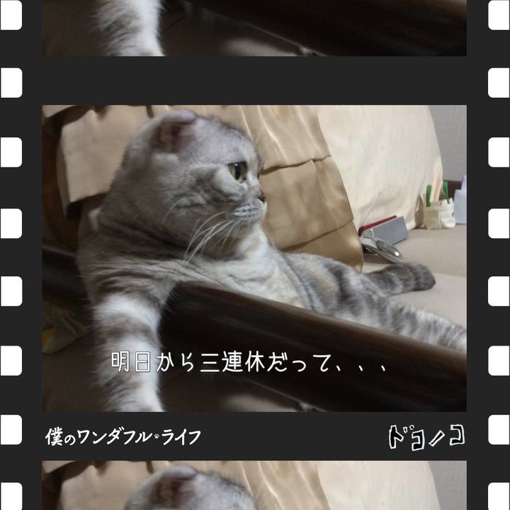 409da039 a7b1 4a8f 888e 44b28fe9bb58