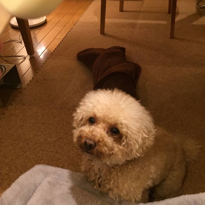 409e6f24 fe02 4cdf 971c 25af14657b6d