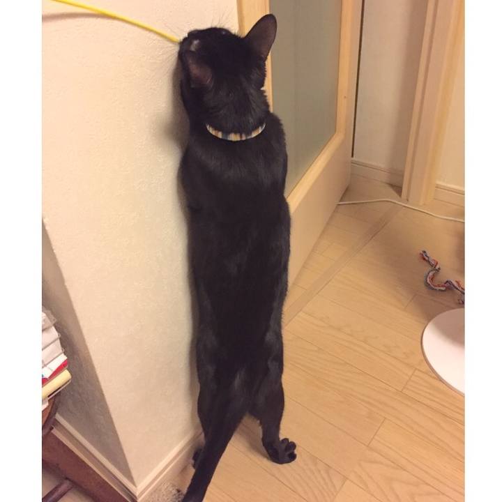 409fe4f7 553b 4d1d a230 51ba6a8f8e8b