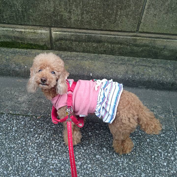 40a073e0 d019 4ae1 814e bf2f772d7be8