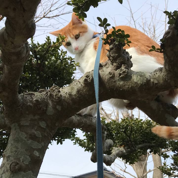 40a0b2ae 5dbf 4bfd a6fd 7e5dc4908fee