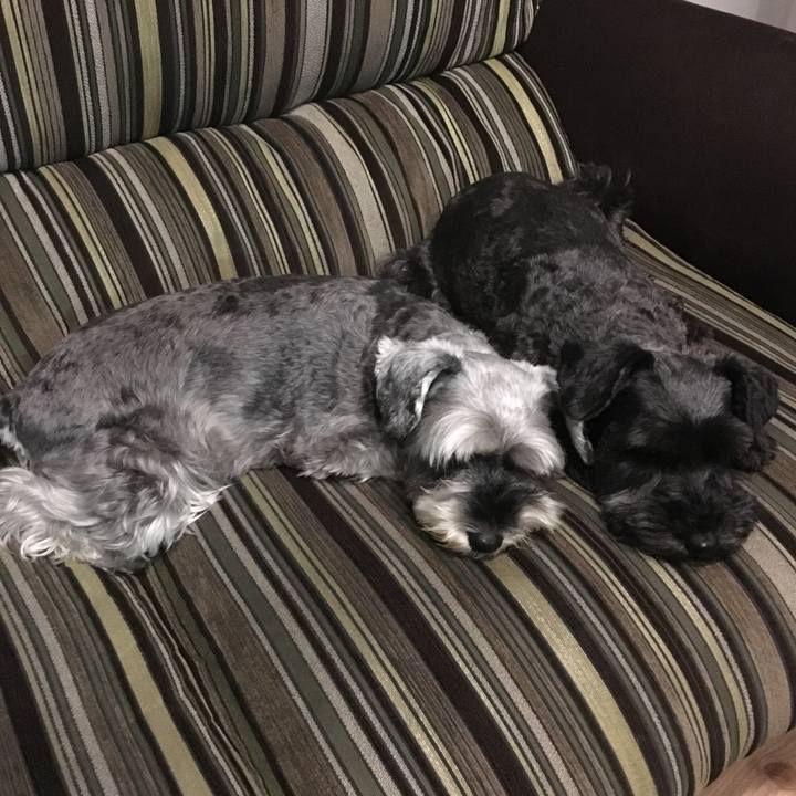 40a1bcdf 857b 4f7c aacf 1de48b95e9d2