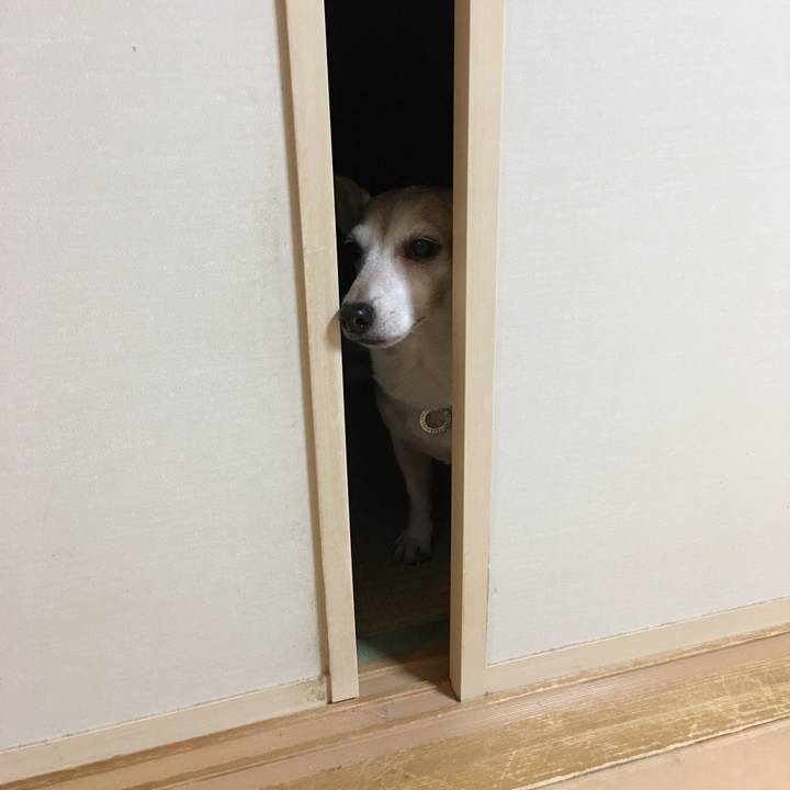 40a1c549 3f48 40bc 8be1 7c2ea6649b99