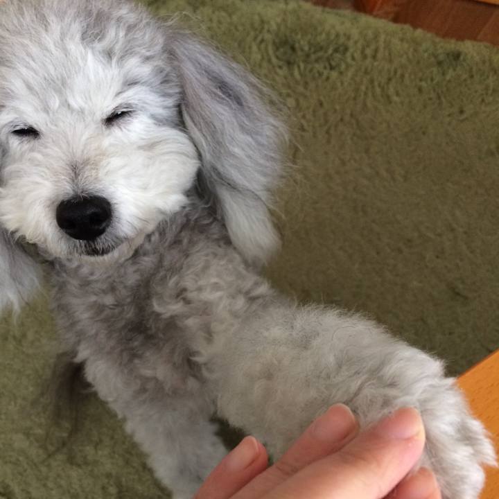 40a23943 7630 44cd 9d34 d8578679b658