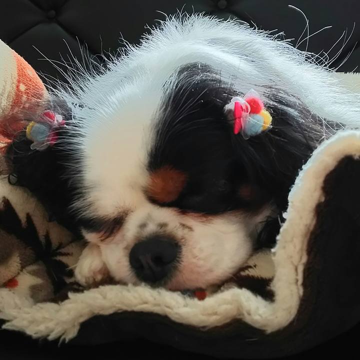 40a255b3 2da6 47c1 b234 574c6242af08