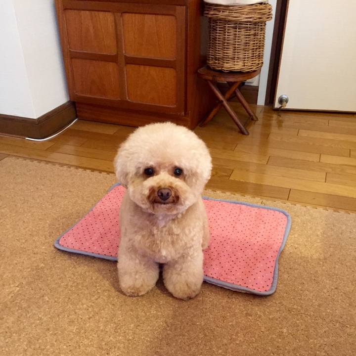 40a29f49 e774 4ee8 9288 5fd323cfe7a5