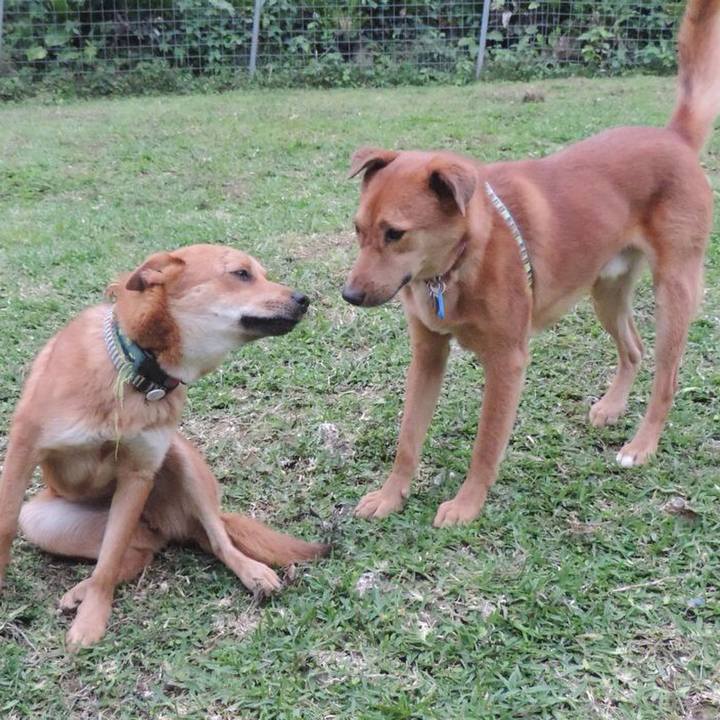 40a2de5d 6697 4b62 8fe6 e7bf2cd49352