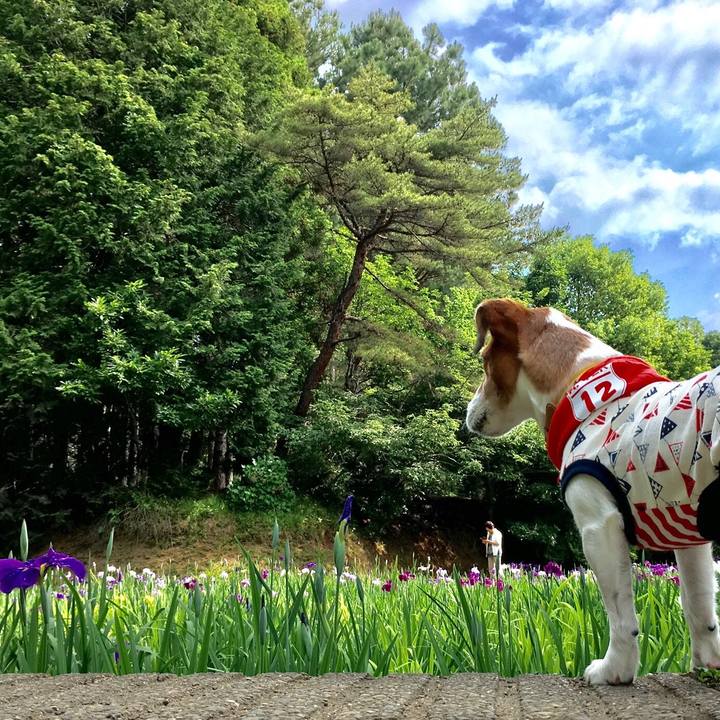 40a2df82 60cf 4a88 a80a b268270026d4