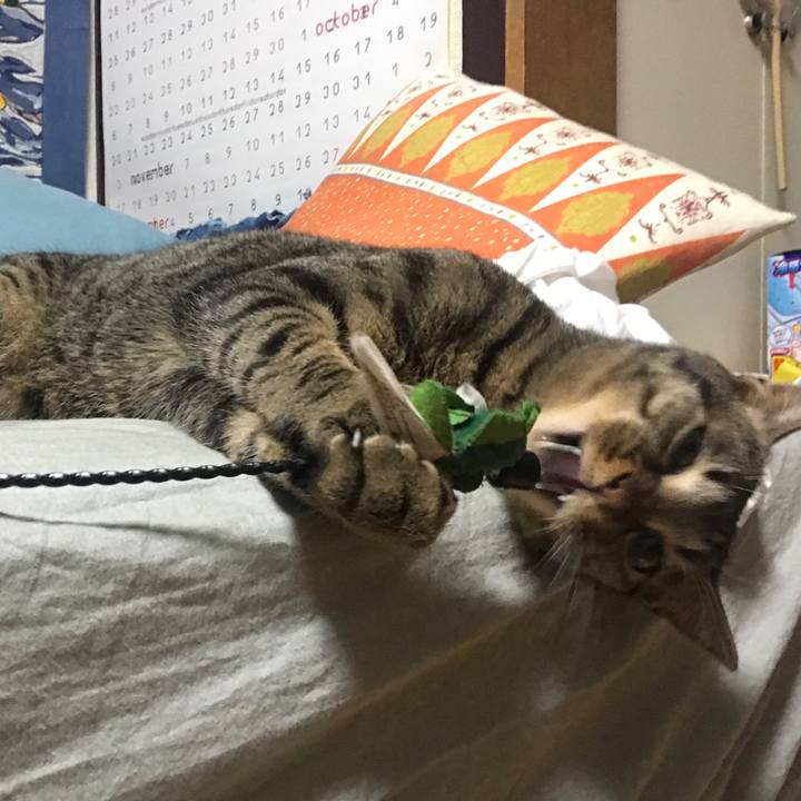 40a3035e d20a 477d 9c31 5e3ac57f14f4