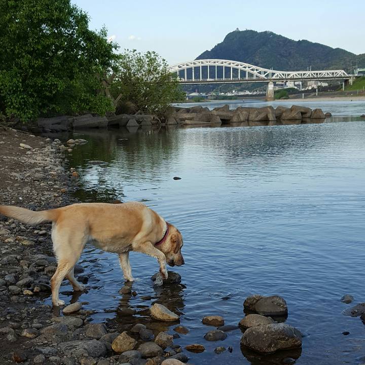 40a321f7 fa61 46f3 9cfb e7f8843ffe27