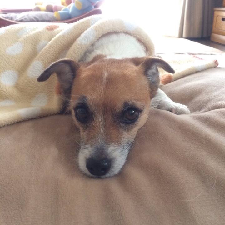 40a33b37 2efc 43ca b504 2c73d318e9b3