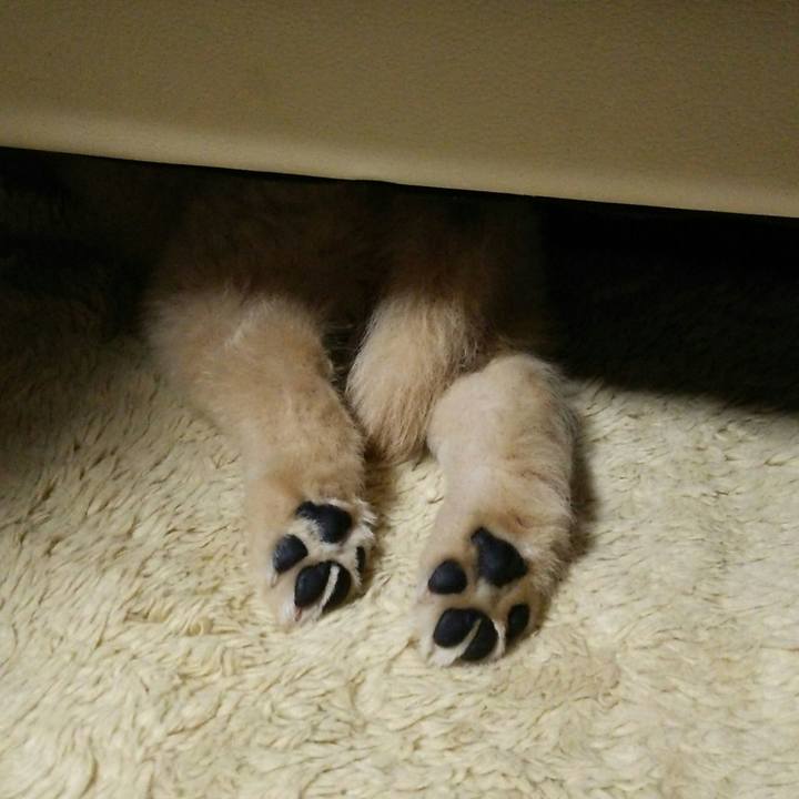 40a3a211 dc2f 4082 88d4 e92e62c09db4