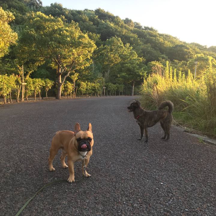 40a3cea2 e164 4d70 ac1b 7754e9362a5e