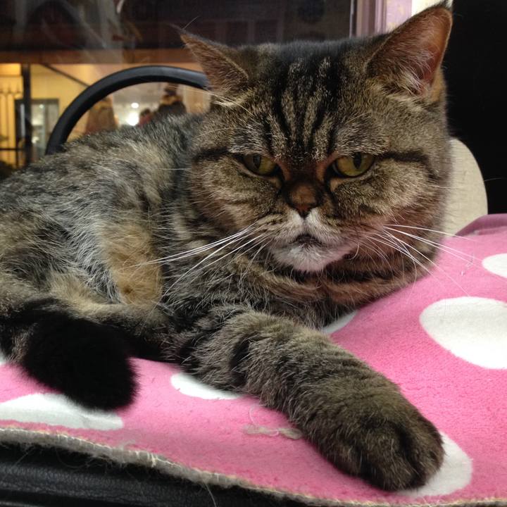 40a46c01 f411 4211 82f0 23e1b4d738eb