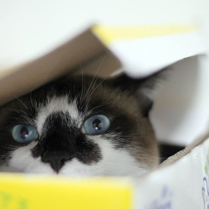 40a5c668 ae7c 4a7a 917a e11708629fd0