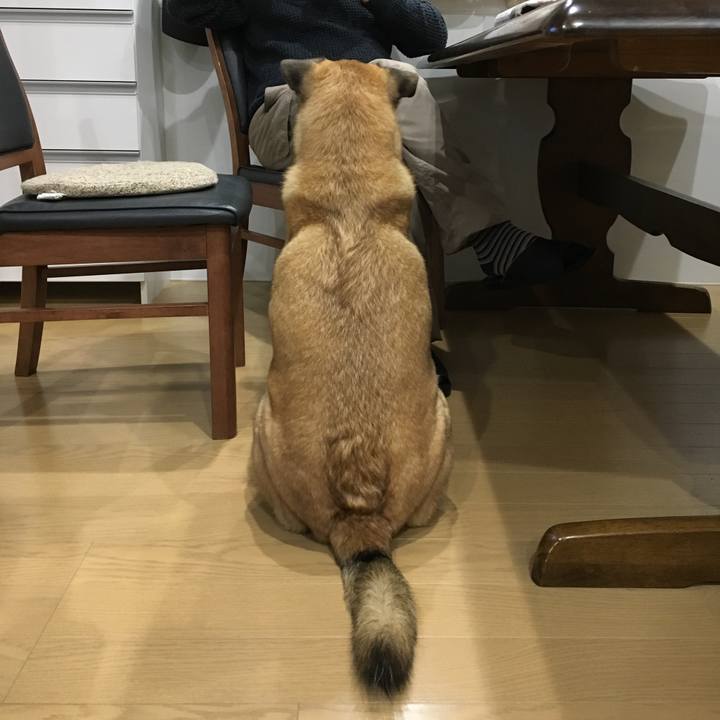 40a5d7f0 ed23 4a3b b1ef c21e4a6f0d06