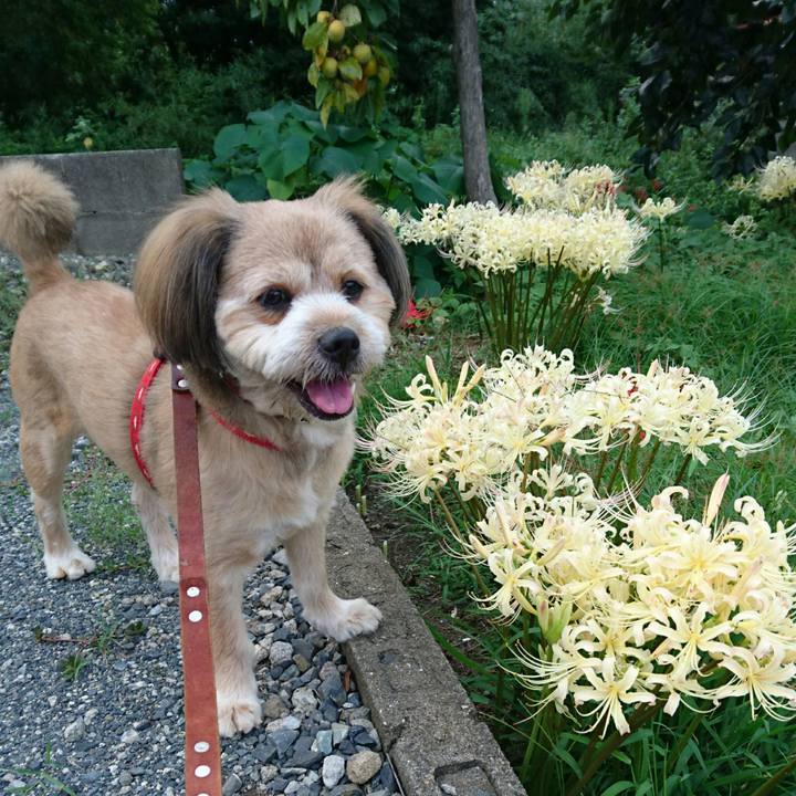 40a6aff5 9132 4062 b852 7587445f839d