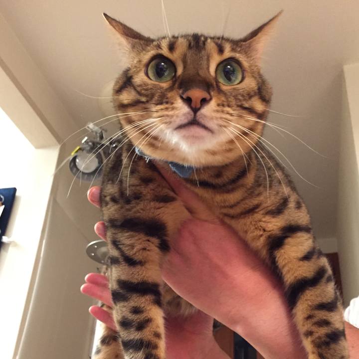 40a6c0b5 6319 4fa9 ae3f 7189affdfc3b