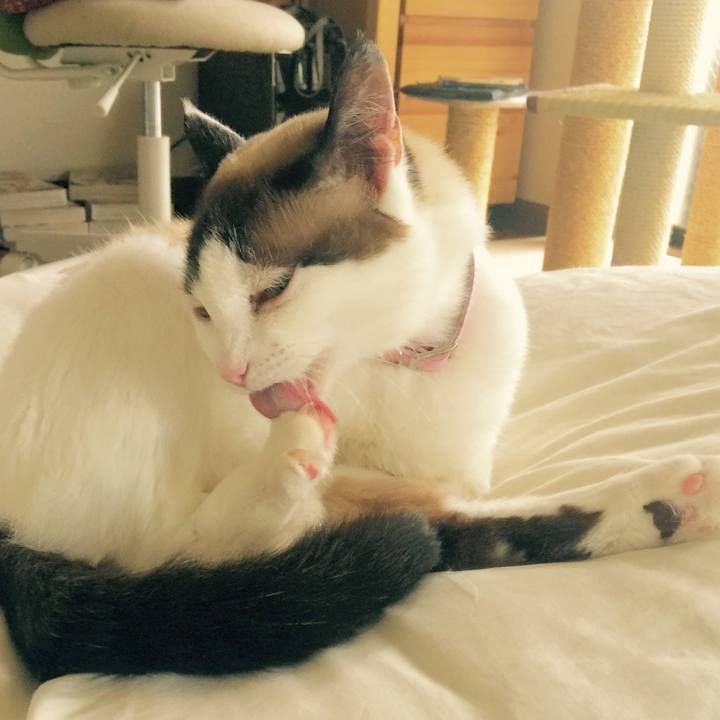 40a715f8 31d9 49d8 945f 8918d46bafc3