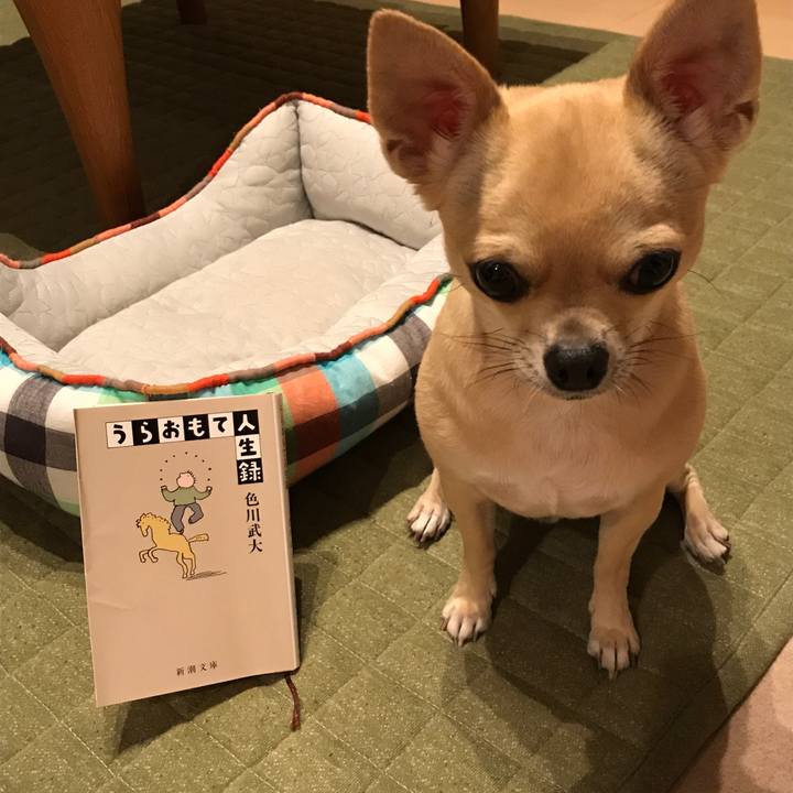 40a742cb acf6 4190 a5e6 c0e972347e71