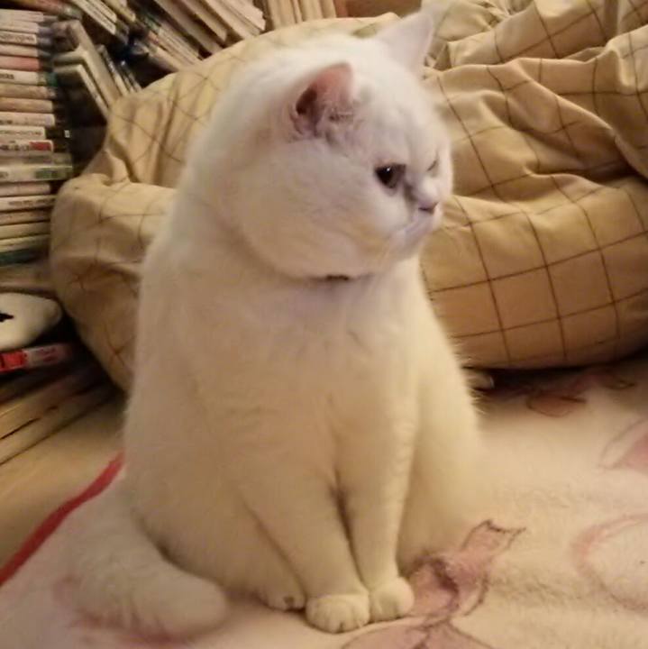 40a76c9a 9d06 49a1 96d8 4a45ed6dca75