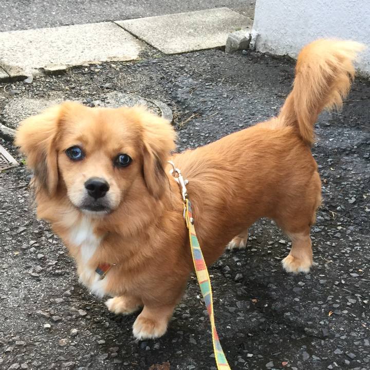 40a85ddd 46bc 4ec6 a16e 8d565b8dd9a3