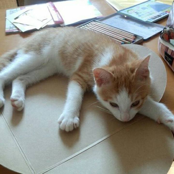 40a891f3 76d4 43bc ae9b 05da6963dbf2