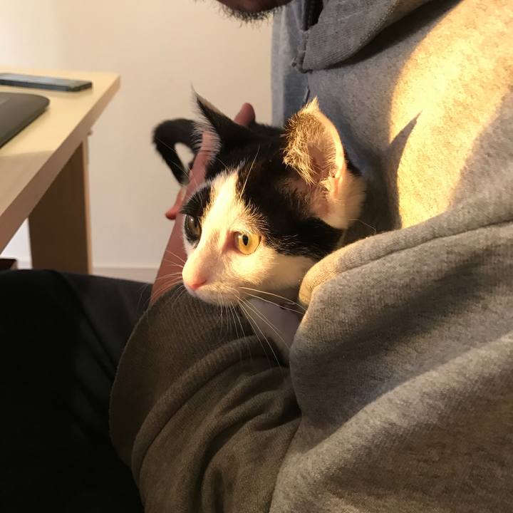 40a96b64 82c9 42f6 a906 f1ede028cfbb