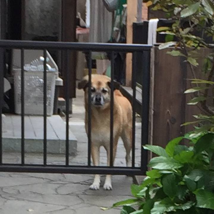 40a9f174 f682 466a a673 8bb5d5114ba5