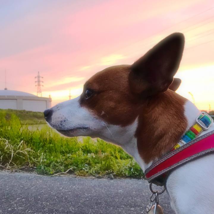 40aa36b3 0c9a 4e4c 82a7 29b81bee8899