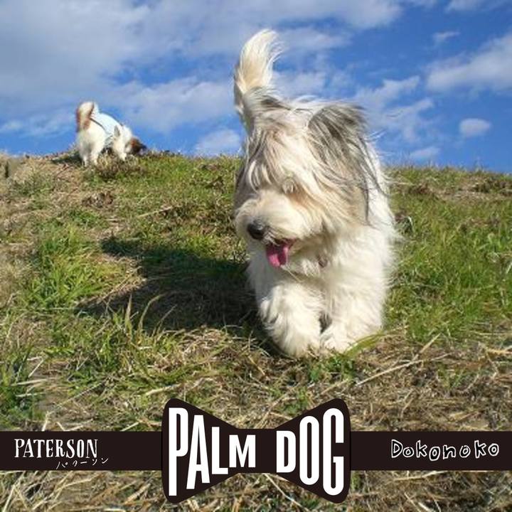 40aa77e8 8074 414d 87e6 f81ca26fbdd2