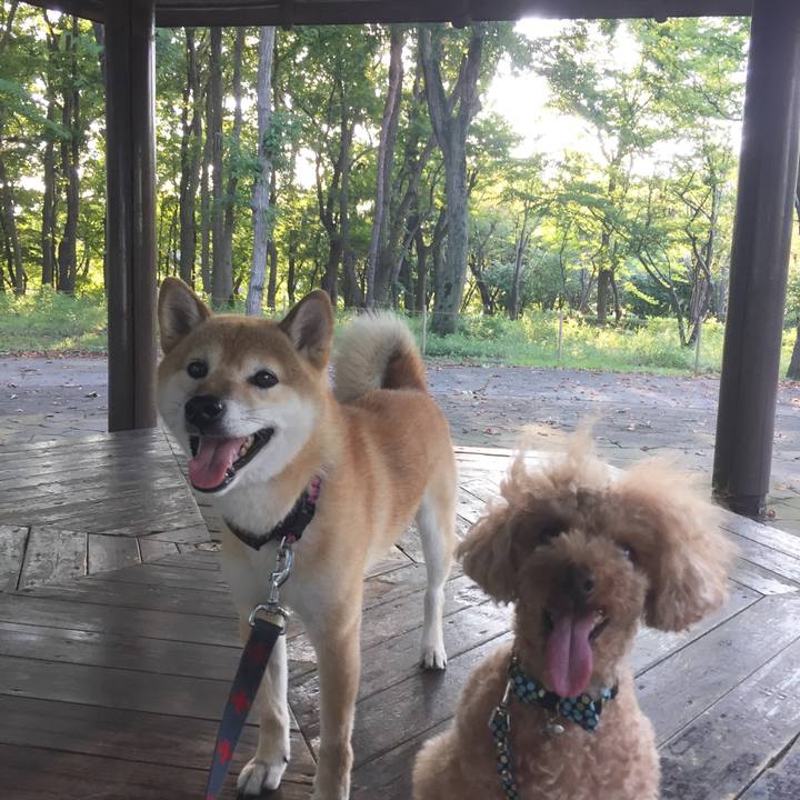 40aad007 4c80 4382 a8b3 4fca94d9ed24