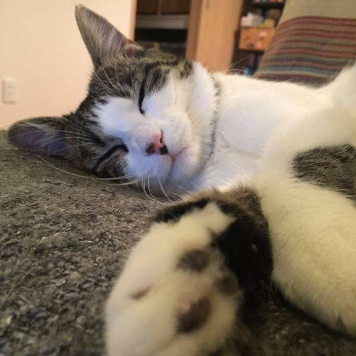 40ac1b39 e790 4815 8dc9 c1741233a6da