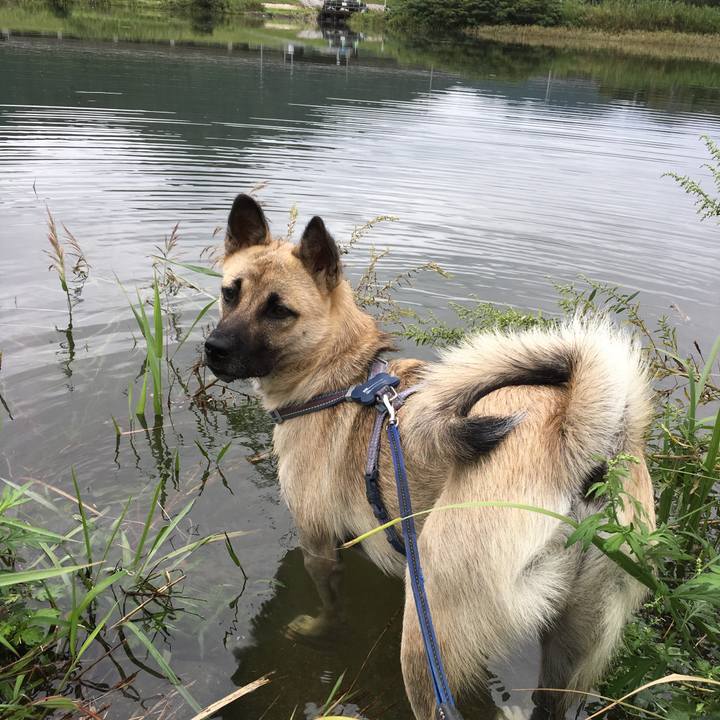 40ac4add 0e74 4504 9171 8cbcd7fdd9cd