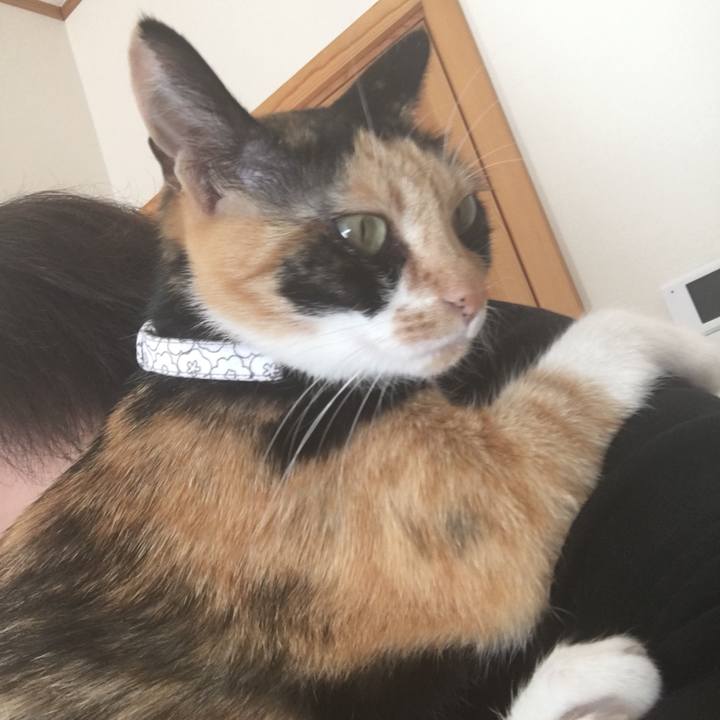 40ac5882 d0e1 404e b286 667f92119986