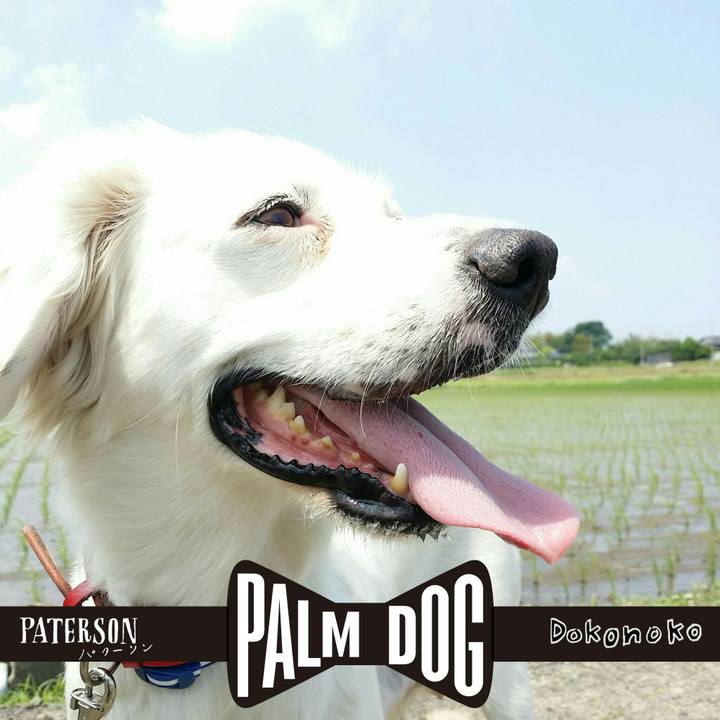 40ac6915 aea9 4350 8136 d05bcdc53f46