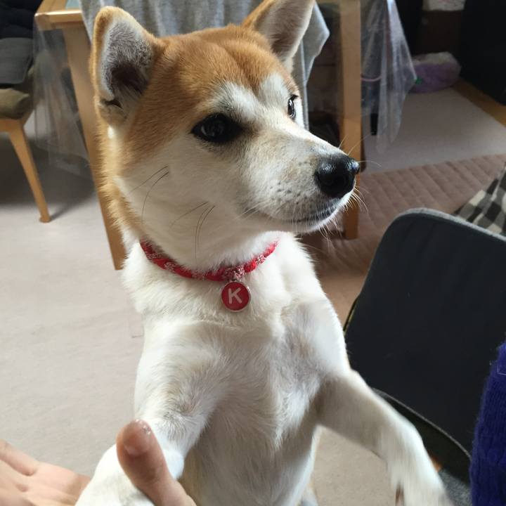 40ac8bb9 5bfe 4c02 8f12 f7fbed09ddaa