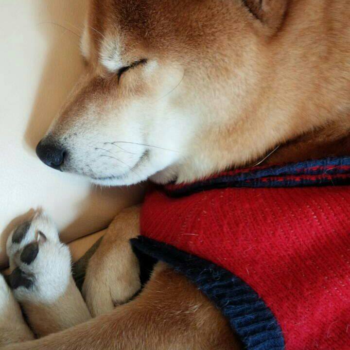 40acb77d 1172 4cf4 8bb3 ca34cae0929d