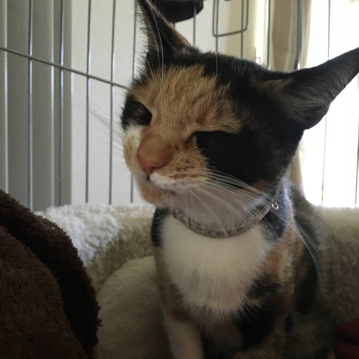 40acb869 3e41 4d37 b7dc 7236aa785d37