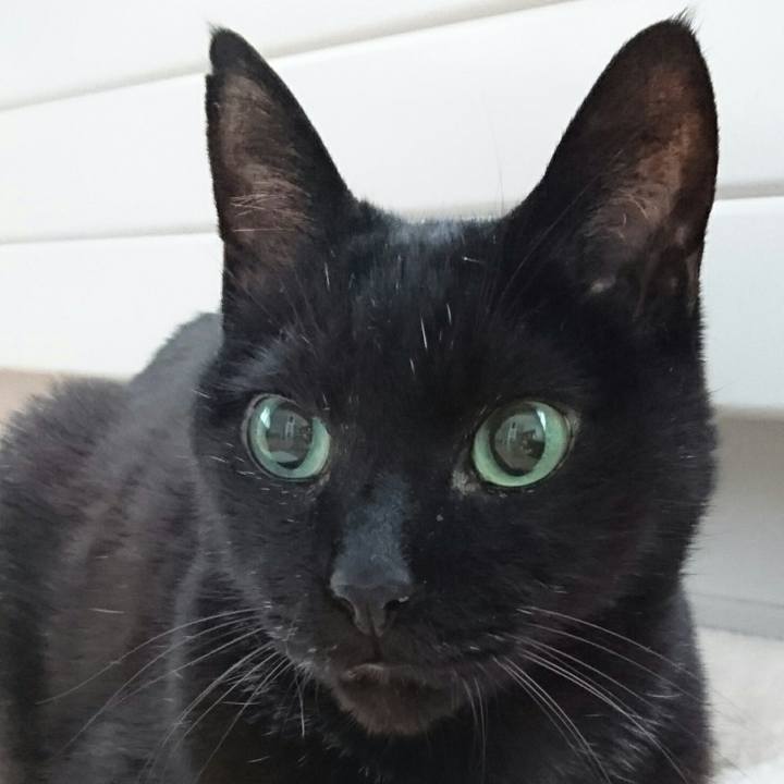 40acbc6f dc50 45b7 8294 7b1069ecd607