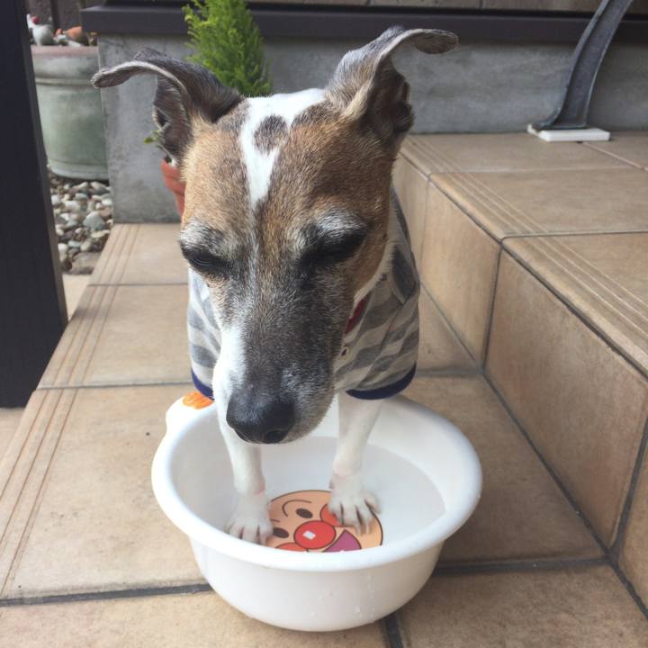 40acc701 e204 4230 ace0 217f49f9c142