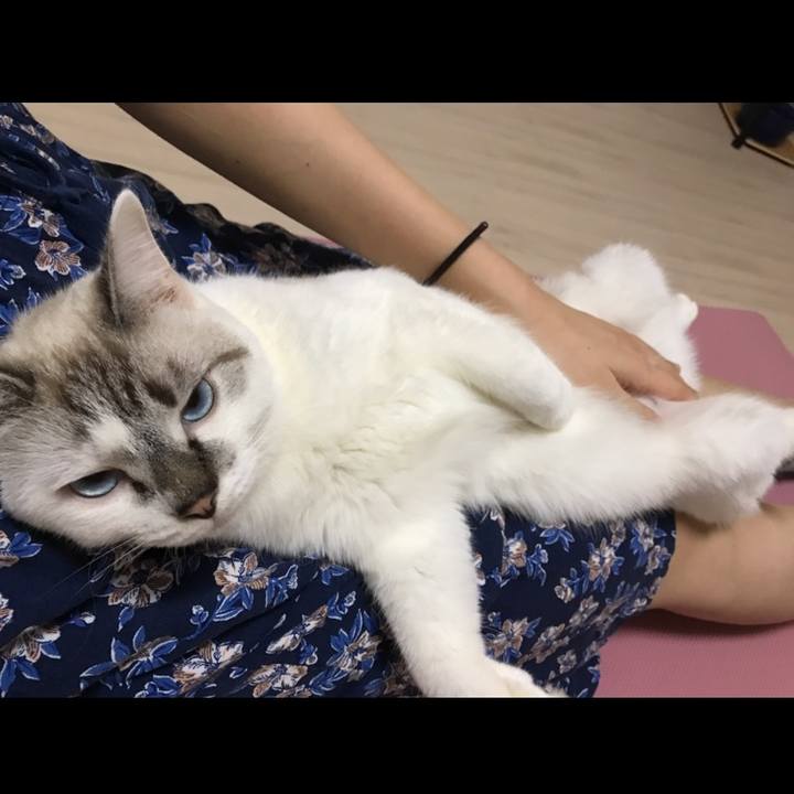 40ad11bd a94b 454d 9cb3 4da379c80734