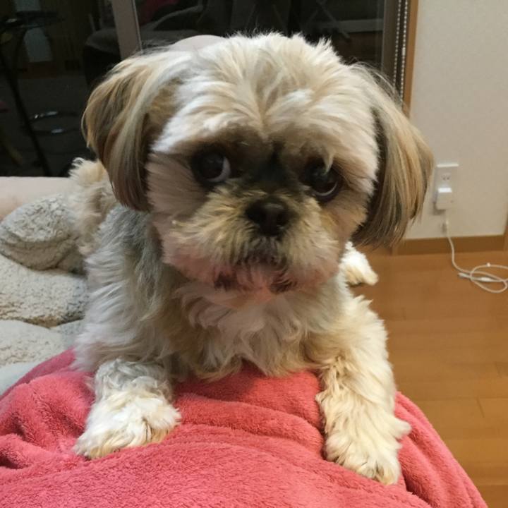 40ad1e15 dfd0 4125 aaa9 dac99a135b41