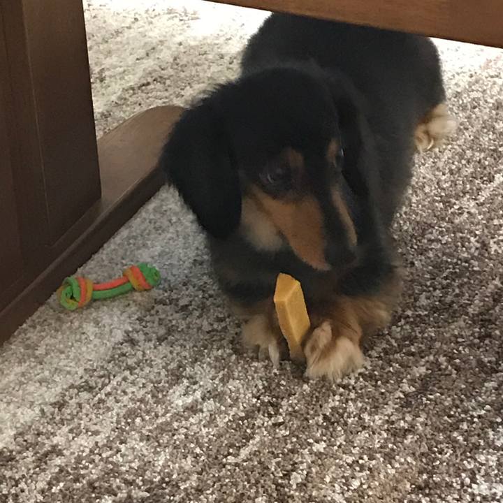 40ade96a 6b82 4ab7 a911 d990c11fa554