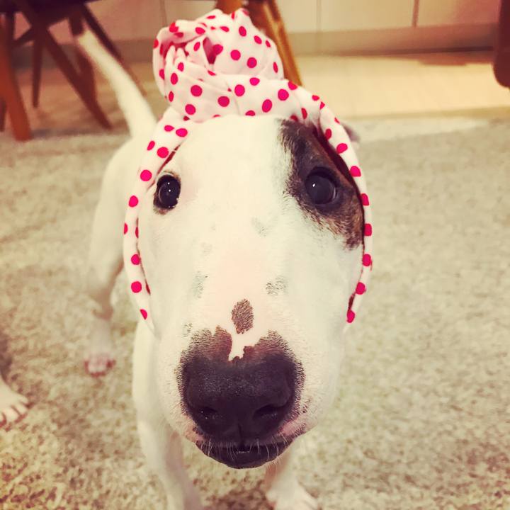 40adebec 2db2 42eb a212 cf0e7c9a3b86